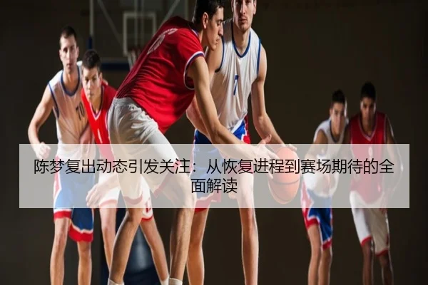 陈梦复出动态引发关注：从恢复进程到赛场期待的全面解读