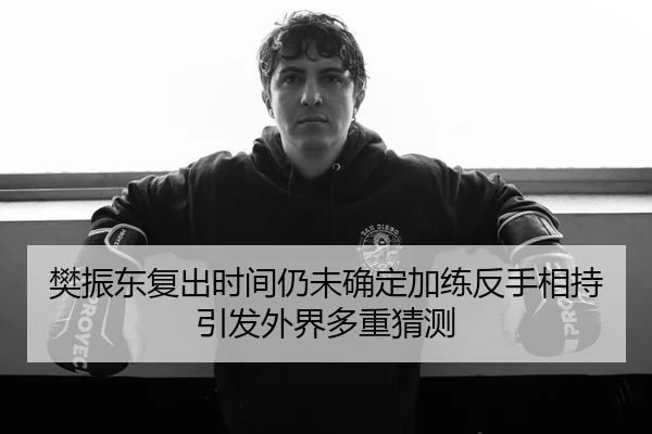 樊振东复出时间仍未确定加练反手相持引发外界多重猜测